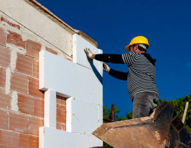 Best Residential Insulation in Keystone, FL