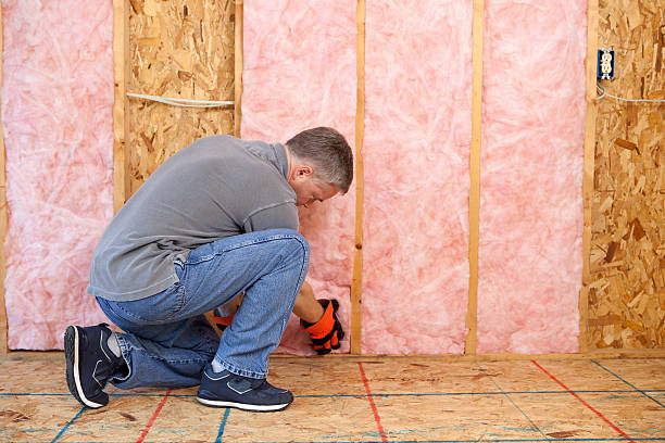 Professional Insulation Contractor in FL