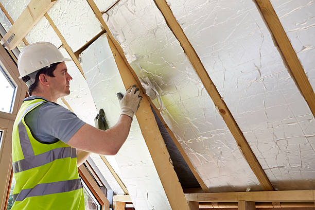 Best Commercial Insulation in Keystone, FL