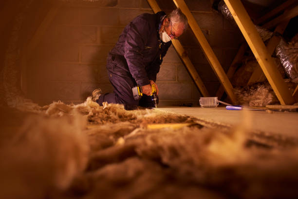 Best Insulation Maintenance and Repair in Keystone, FL