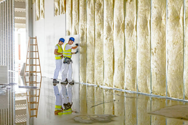 Best Insulation Installation Services in Keystone, FL